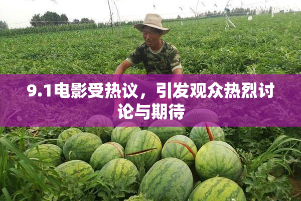 9.1电影受热议，引发观众热烈讨论与期待