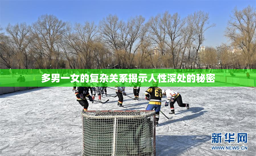 多男一女的复杂关系揭示人性深处的秘密