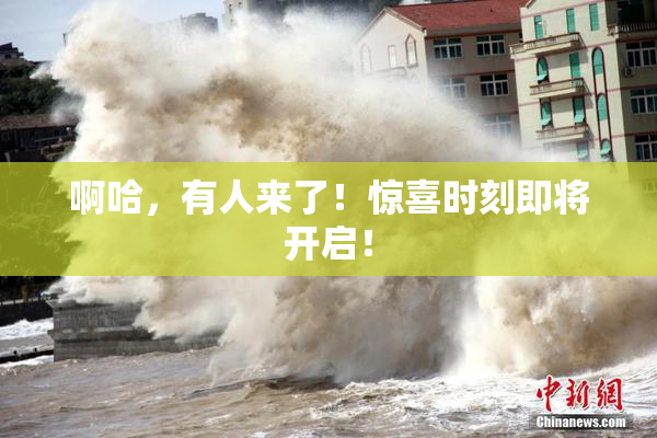 啊哈，有人来了！惊喜时刻即将开启！