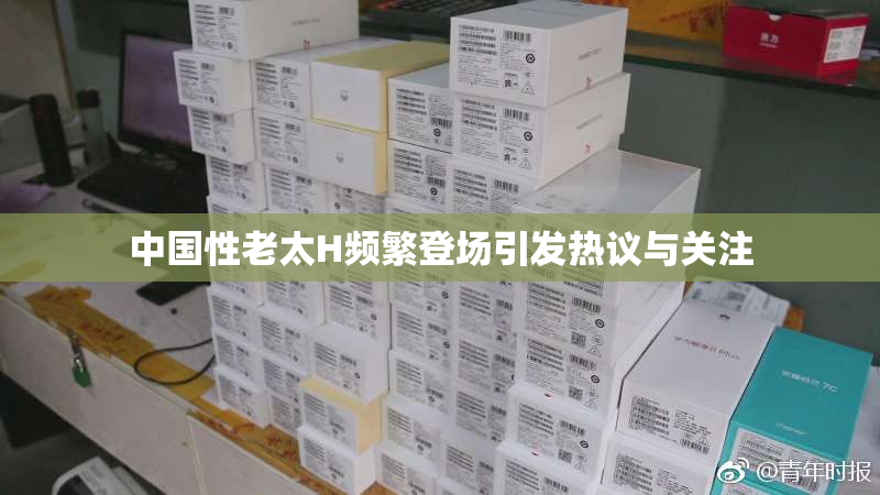 中国性老太H频繁登场引发热议与关注