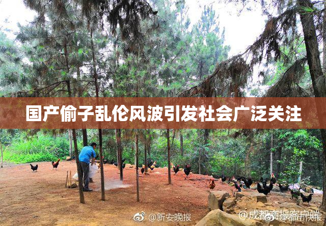国产偷子乱伦风波引发社会广泛关注