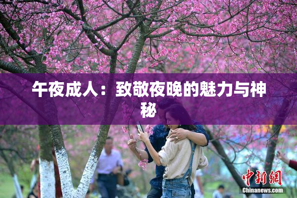 午夜成人：致敬夜晚的魅力与神秘