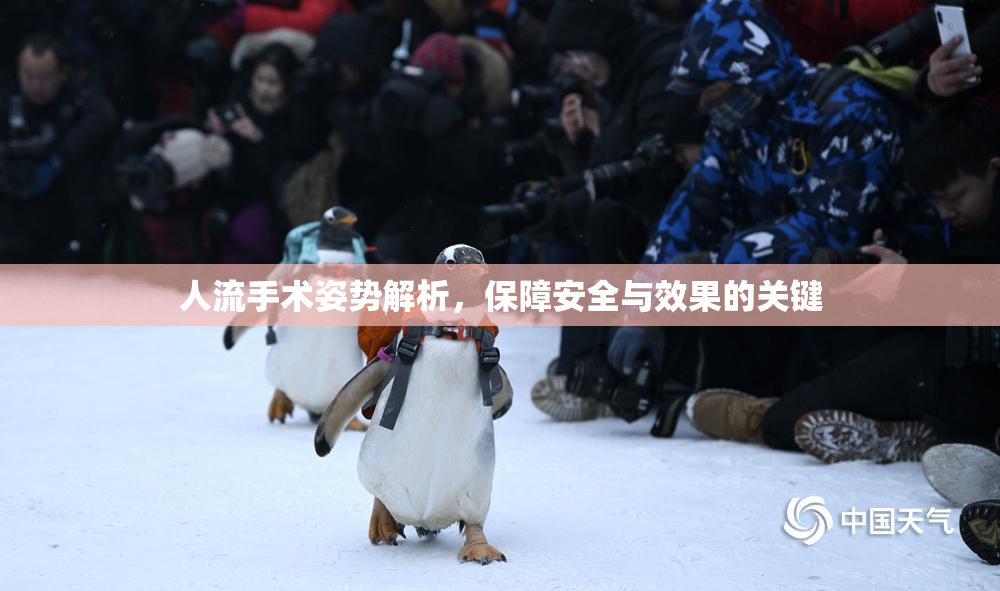人流手术姿势解析，保障安全与效果的关键