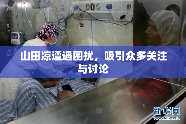 山田凉遭遇困扰，吸引众多关注与讨论