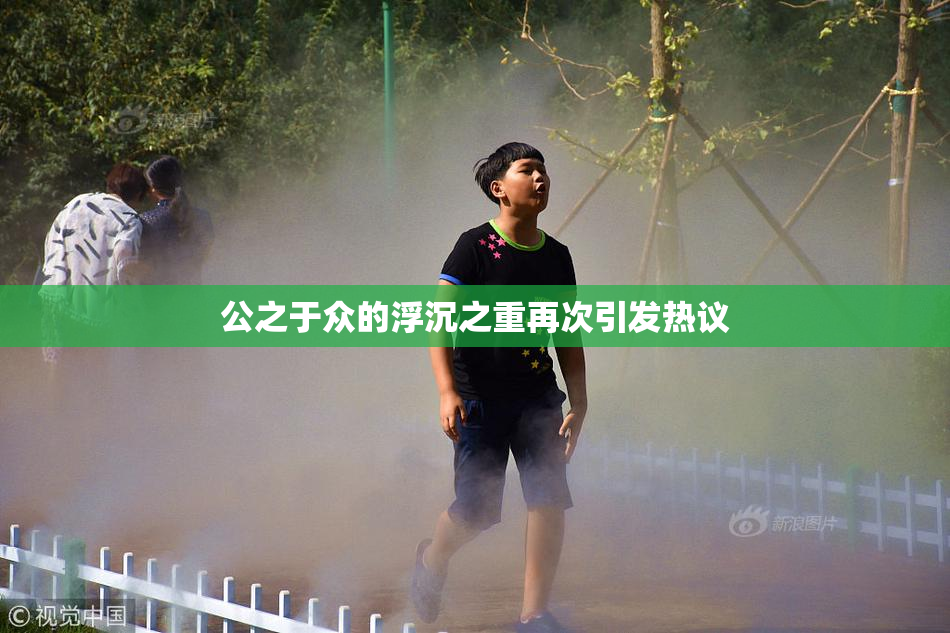 公之于众的浮沉之重再次引发热议