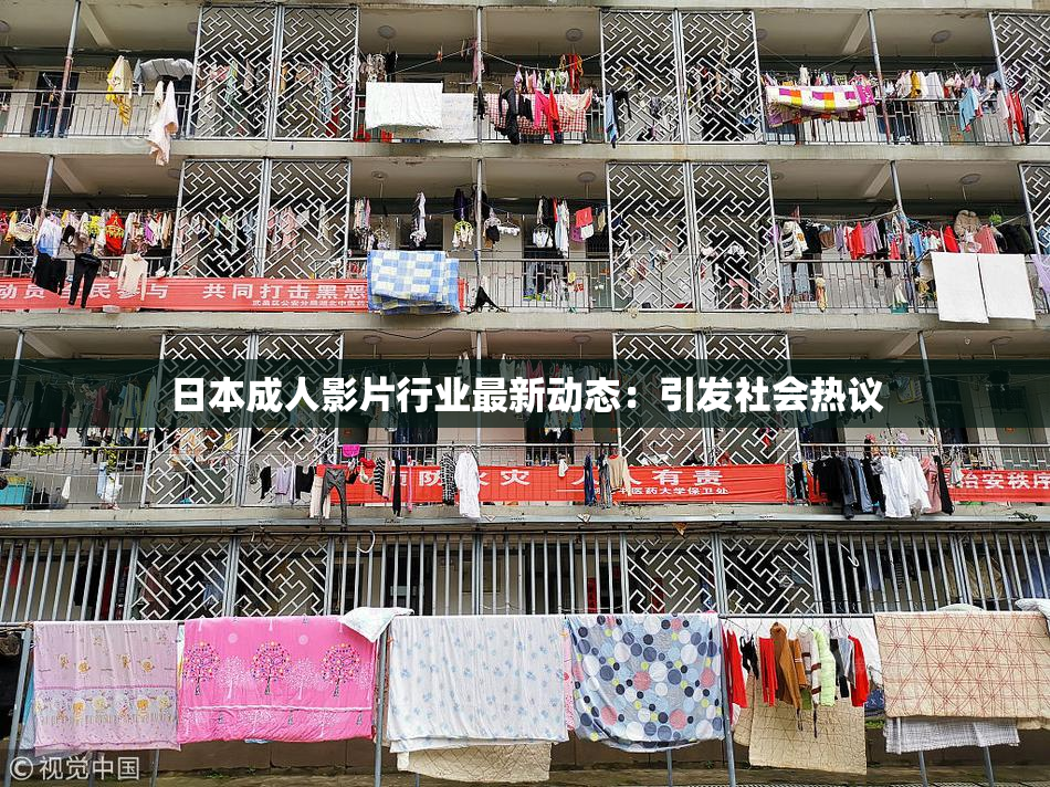 日本成人影片行业最新动态：引发社会热议