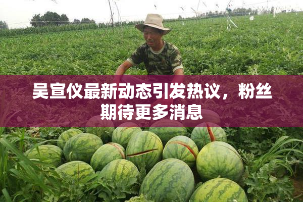 吴宣仪最新动态引发热议，粉丝期待更多消息