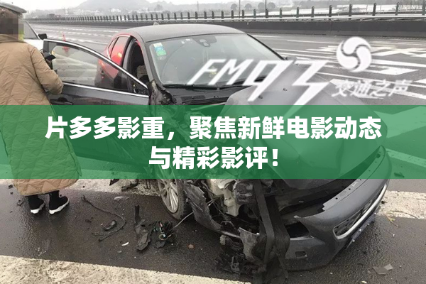 片多多影重，聚焦新鲜电影动态与精彩影评！