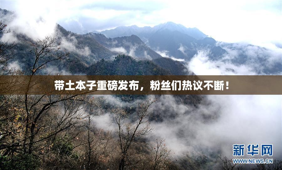 带土本子重磅发布，粉丝们热议不断！