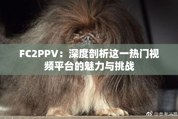 FC2PPV：深度剖析这一热门视频平台的魅力与挑战