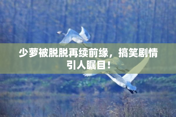 少萝被脱脱再续前缘，搞笑剧情引人瞩目！