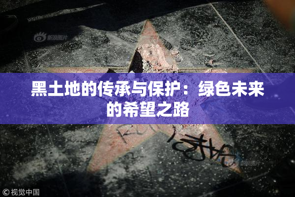黑土地的传承与保护：绿色未来的希望之路