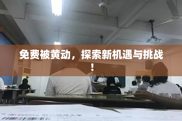免费被黄动，探索新机遇与挑战！