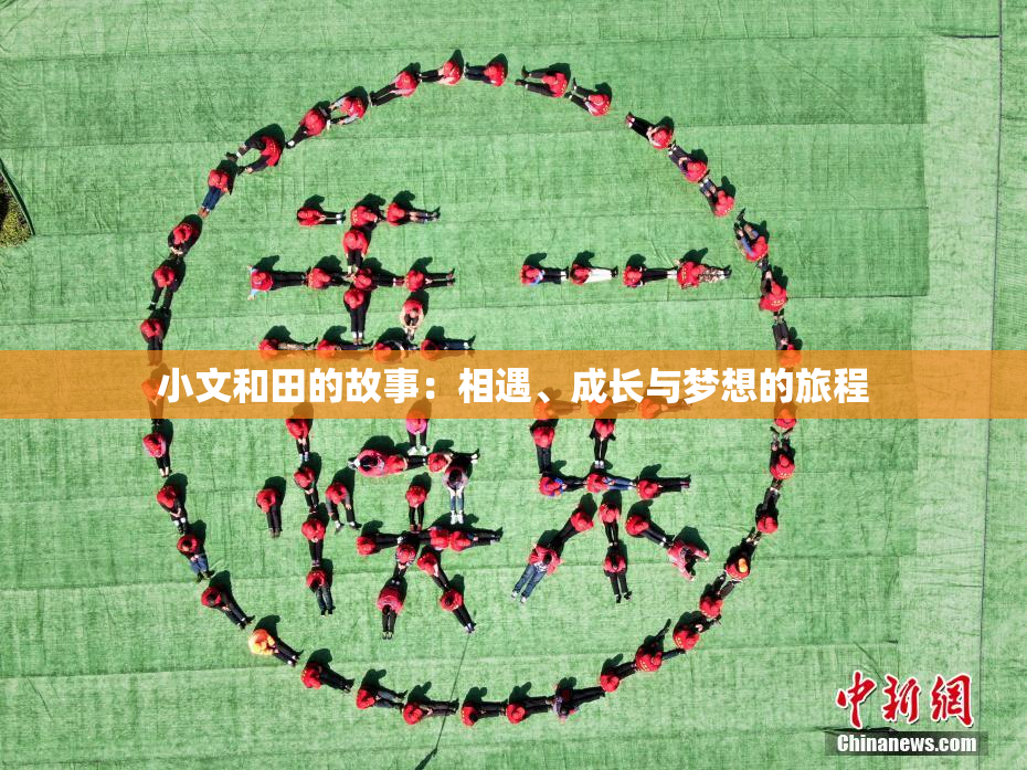 小文和田的故事：相遇、成长与梦想的旅程