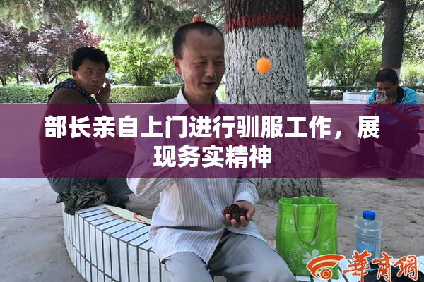 部长亲自上门进行驯服工作，展现务实精神