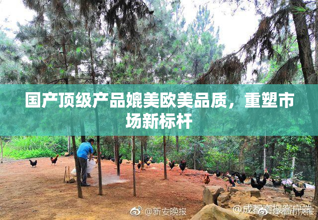 国产顶级产品媲美欧美品质，重塑市场新标杆