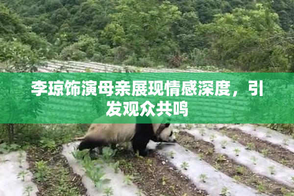 李琼饰演母亲展现情感深度，引发观众共鸣