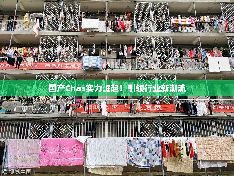国产Chas实力崛起！引领行业新潮流