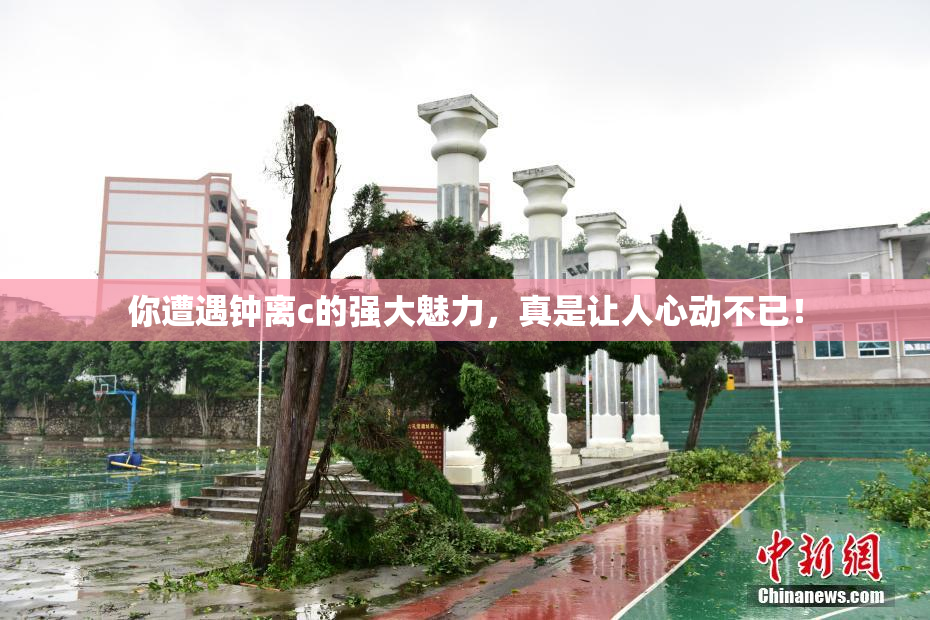 你遭遇钟离c的强大魅力，真是让人心动不已！