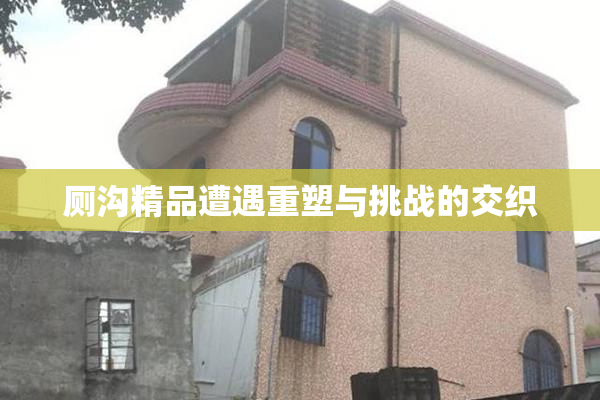 厕沟精品遭遇重塑与挑战的交织