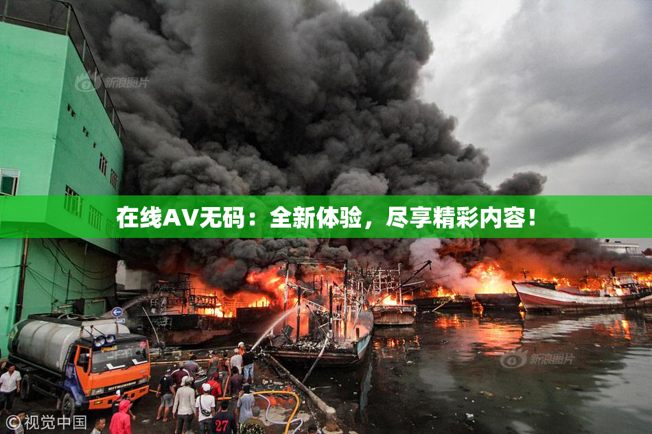 在线AV无码：全新体验，尽享精彩内容！