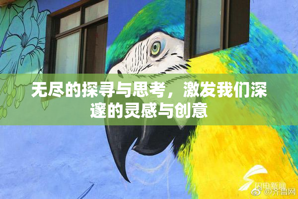 无尽的探寻与思考，激发我们深邃的灵感与创意