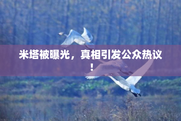 米塔被曝光，真相引发公众热议！