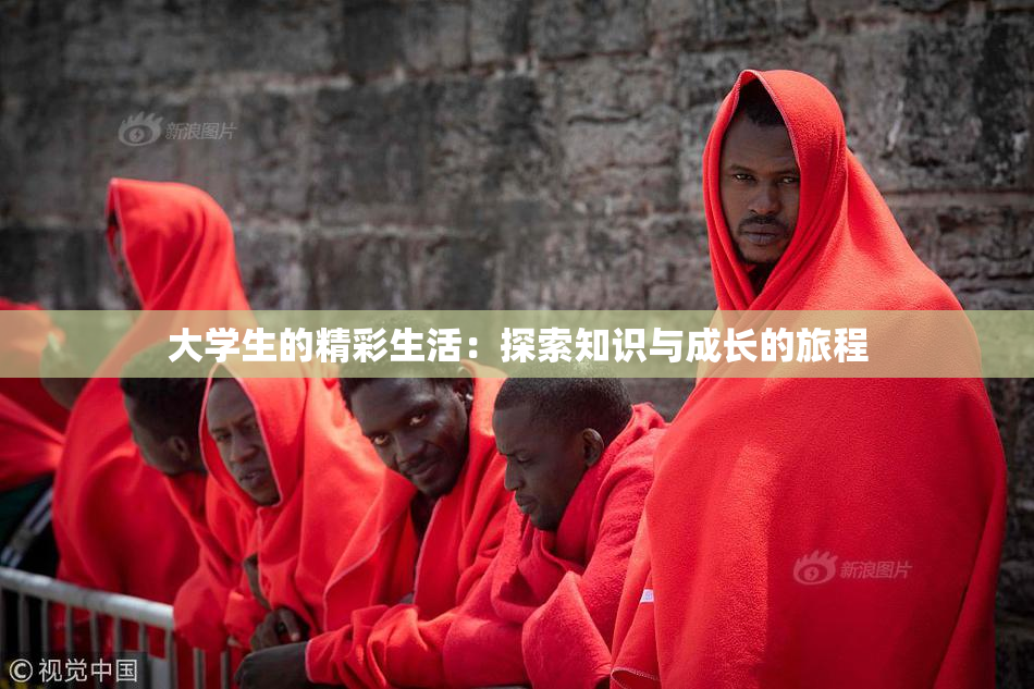 大学生的精彩生活：探索知识与成长的旅程