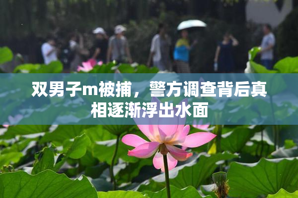 双男子m被捕，警方调查背后真相逐渐浮出水面