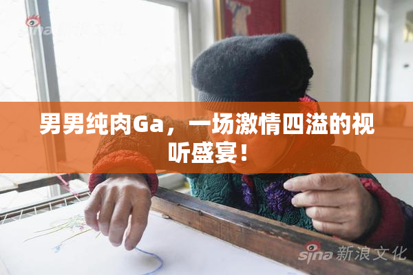男男纯肉Ga，一场激情四溢的视听盛宴！