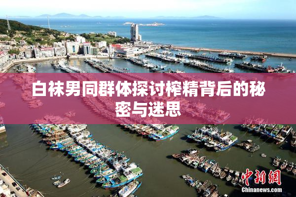 白袜男同群体探讨榨精背后的秘密与迷思