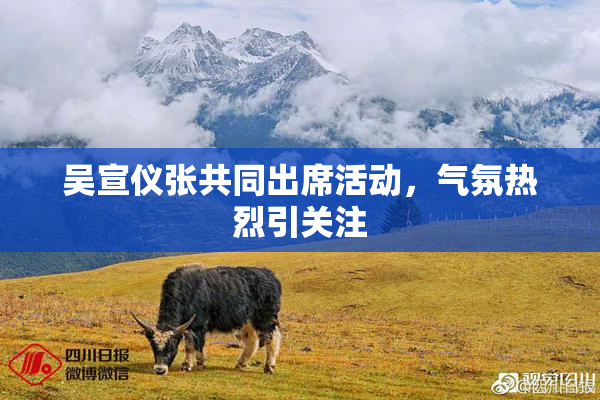吴宣仪张共同出席活动，气氛热烈引关注