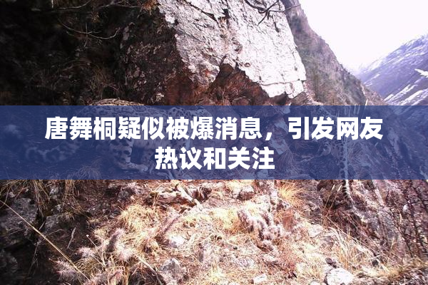 唐舞桐疑似被爆消息，引发网友热议和关注