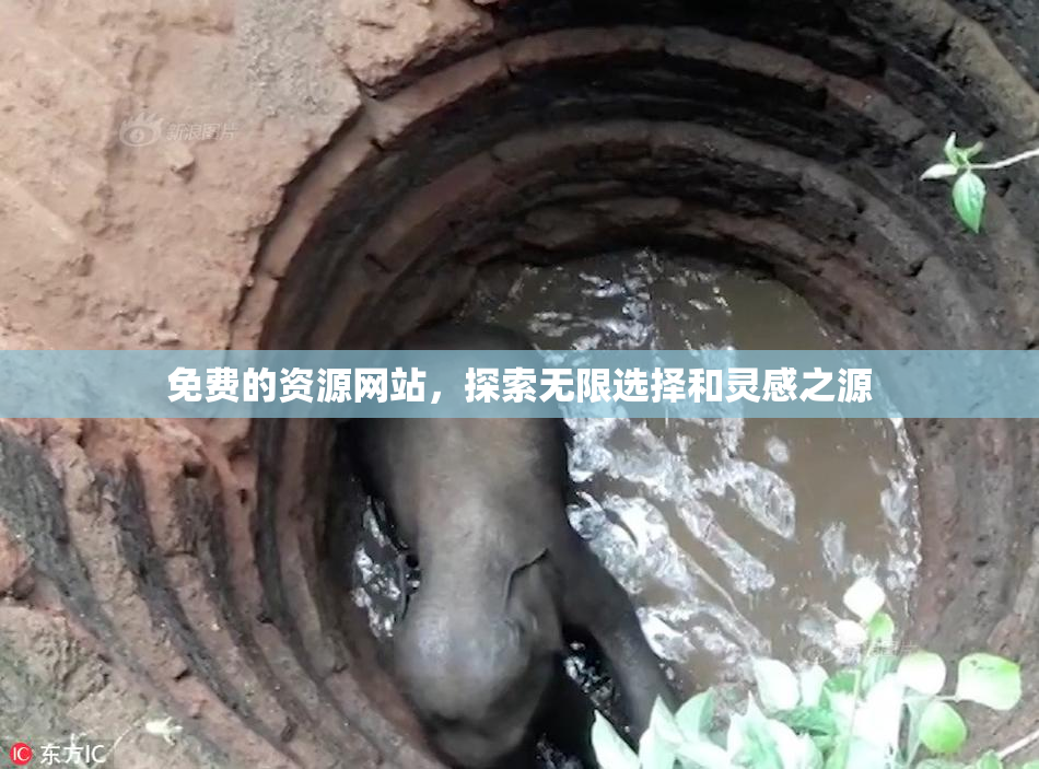 免费的资源网站，探索无限选择和灵感之源
