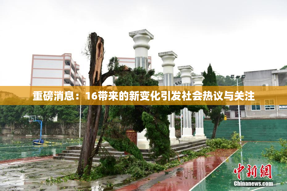 重磅消息：16带来的新变化引发社会热议与关注