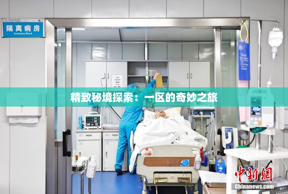 精致秘境探索：一区的奇妙之旅