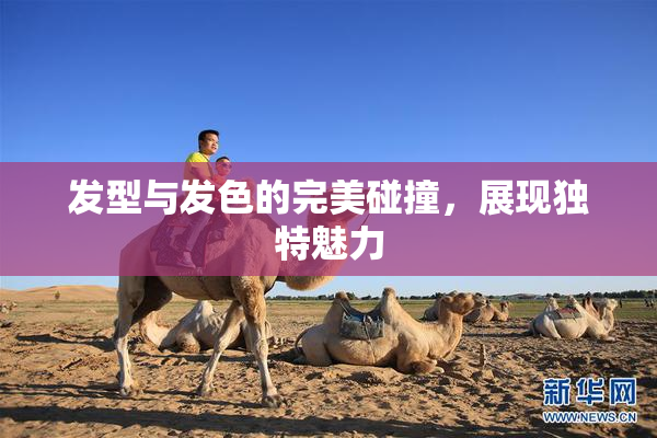 发型与发色的完美碰撞，展现独特魅力