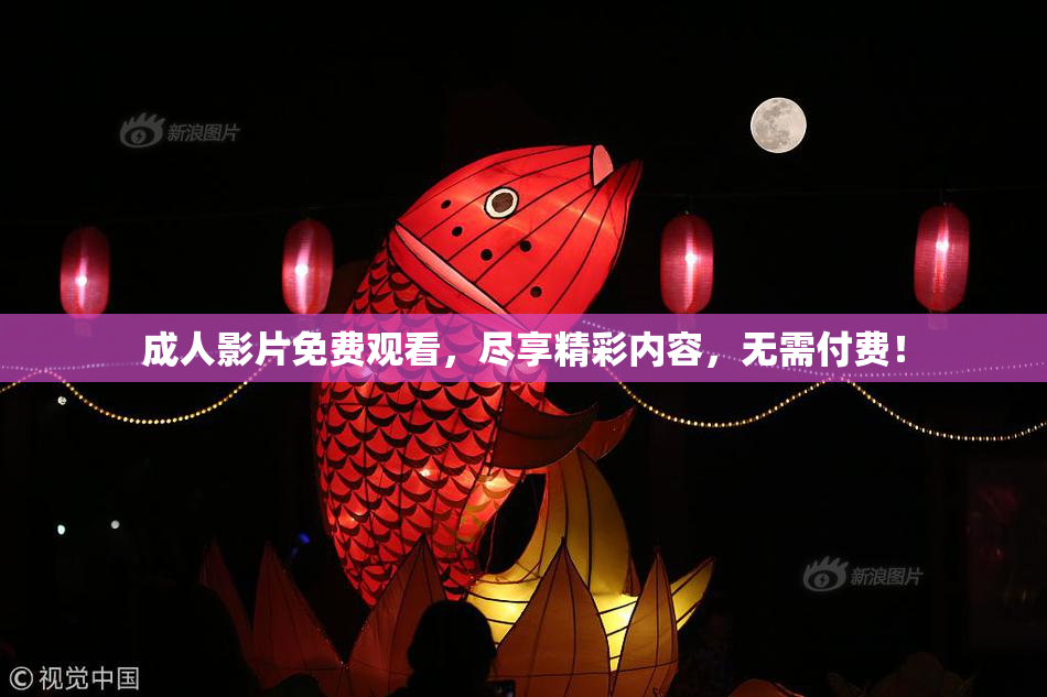 成人影片免费观看，尽享精彩内容，无需付费！