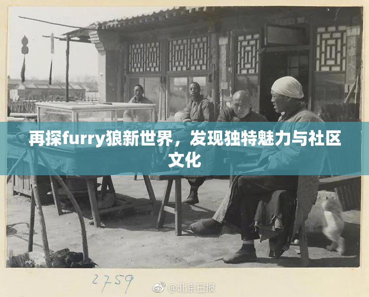 再探furry狼新世界，发现独特魅力与社区文化