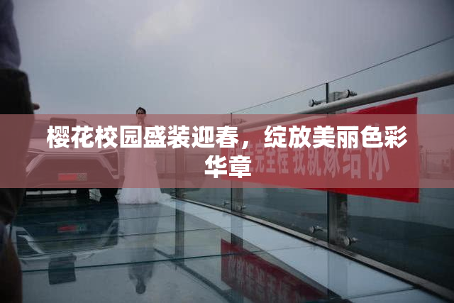 樱花校园盛装迎春，绽放美丽色彩华章