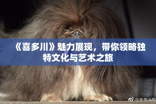 《喜多川》魅力展现，带你领略独特文化与艺术之旅