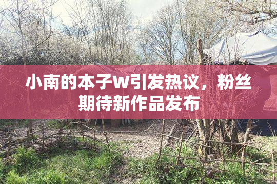 小南的本子W引发热议，粉丝期待新作品发布