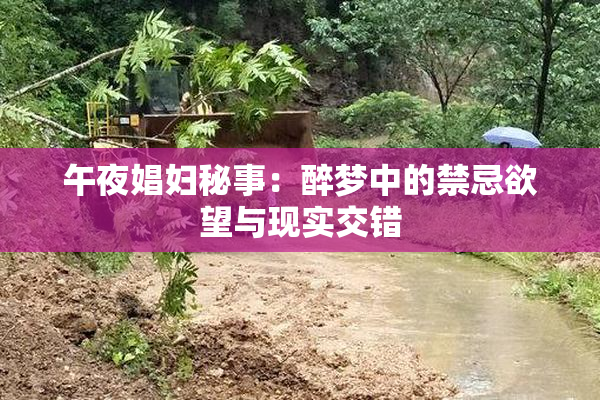 午夜娼妇秘事：醉梦中的禁忌欲望与现实交错