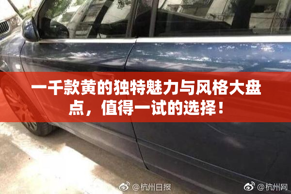 一千款黄的独特魅力与风格大盘点，值得一试的选择！