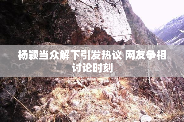 杨颖当众解下引发热议 网友争相讨论时刻