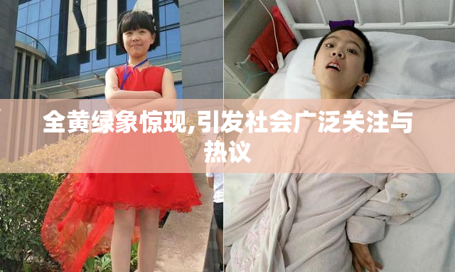 全黄绿象惊现,引发社会广泛关注与热议