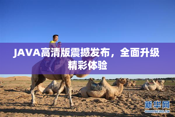 JAVA高清版震撼发布，全面升级精彩体验
