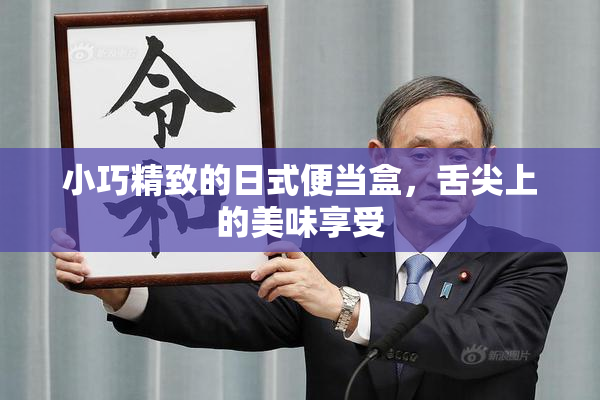 小巧精致的日式便当盒，舌尖上的美味享受