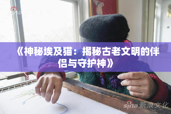 《神秘埃及猫：揭秘古老文明的伴侣与守护神》