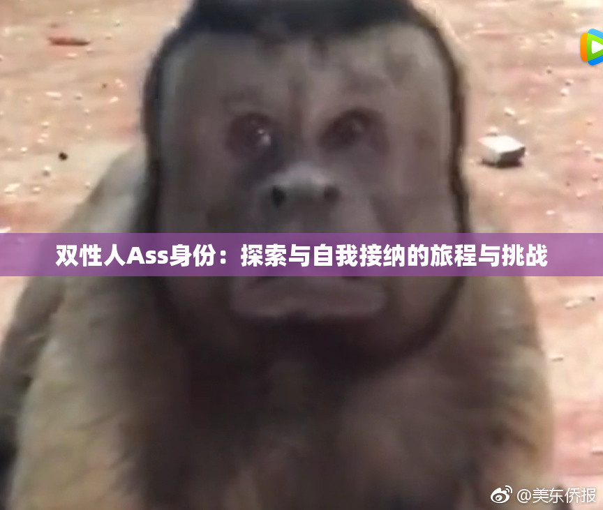 双性人Ass身份：探索与自我接纳的旅程与挑战